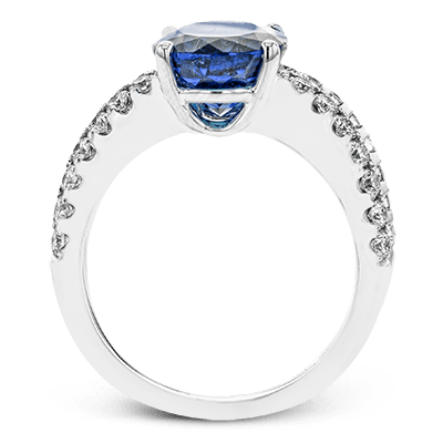 LR1147 COLOR RING