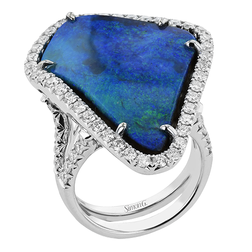 LR2119 COLOR RING